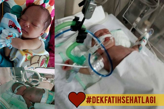 Dek Fatih Sehat Lagi