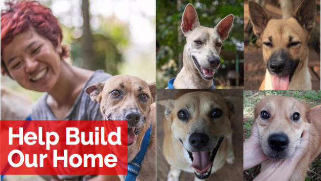 Help us re-build our shelter!