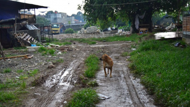HELP US BUILD OUR HOME "PEJATEN SHELTER "