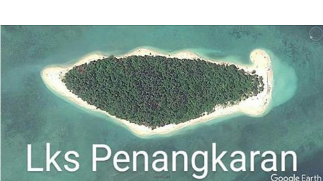 Penangkaran Dan Budidaya Penyu Hijau