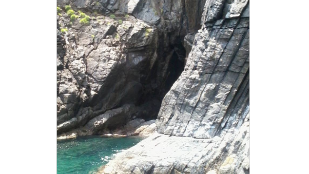 Pelestarian Burung Walet Goa Senoa