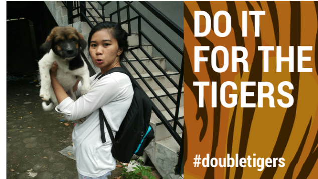 Donasimu untuk semesta. Save Tigers!