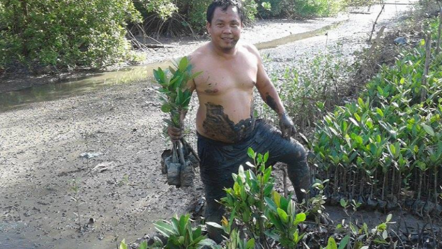 bantu wibi bangun sekolah alam mangrove