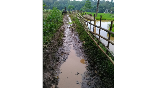 Membangun Jalan dan Jembatan di Desa Terpencil