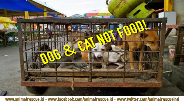 Save Dog and Cat from Extrem Market Tomohon