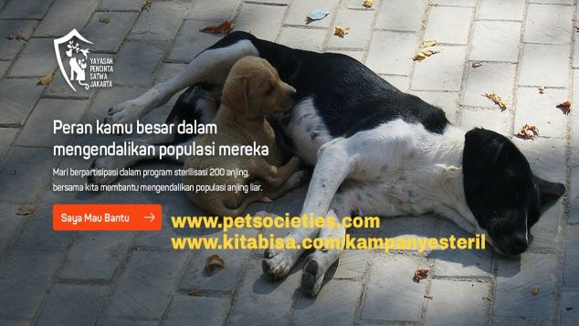 STERILISASI UNTUK 200 ANJING