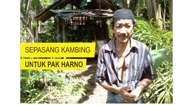 Sepasang Kambing Untuk Pak Harno