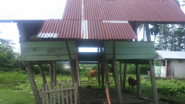 Membangun Masjid di Gampong Hagu-Pidie Jaya-Aceh
