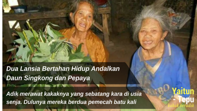 Bertahan Hidup Andalkan Daun Singkong dan Pepaya