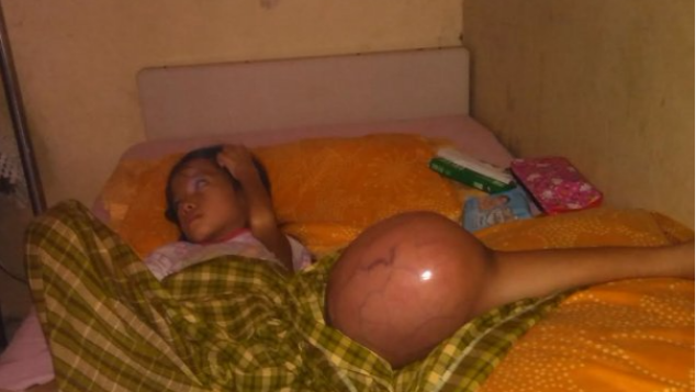 PEDULI ALMUQVIRA