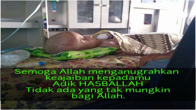 SUSU UNTUK HASBALLAH