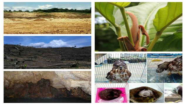 Selamatkan Ekosistem Karst Nusakambangan
