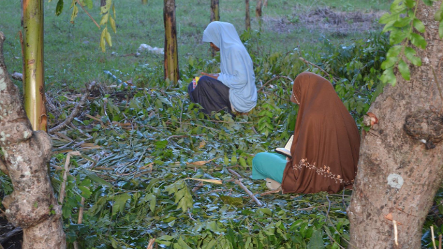 BEASISWA JALIHA DAN SITI PENGHAFAL QURA’AN DI NTT