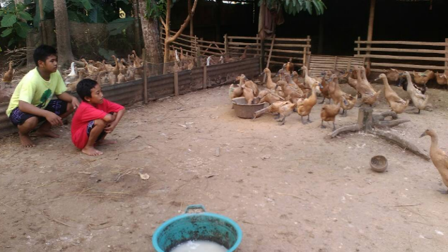 Donasi modal untuk panti asuhan berbisnis