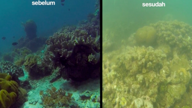 Selamatkan Pulau Bangka