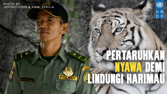 Bantu Bebaskan Harimau Dari Jerat Pemburu