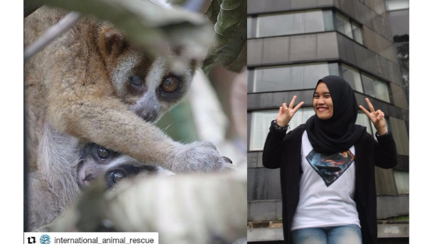 Ulang Tahun Iik untuk Chestnut dan Teman-teman