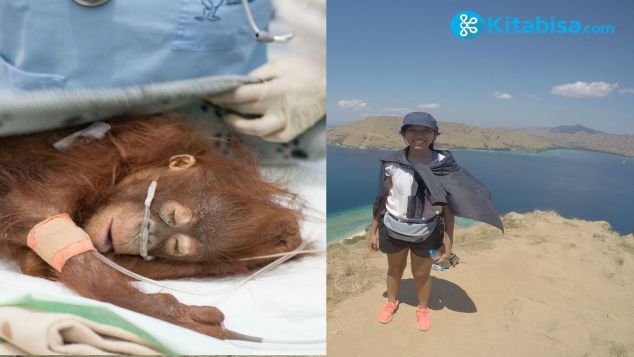 Tanggal 31 Juli Untuk si Cantik (Orangutan)