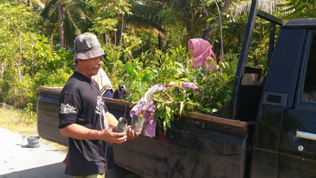 Mari Hijaukan bumi dengan menanam pohon