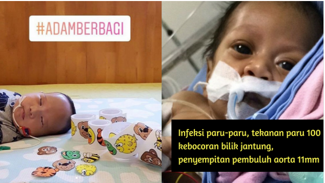 Adam Fabumi Bantu Shawqi Sembuh