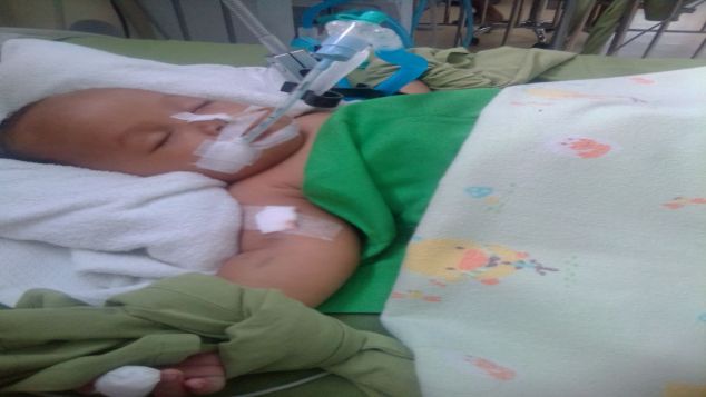 Bantu zavina sembuh dari infeksi usus