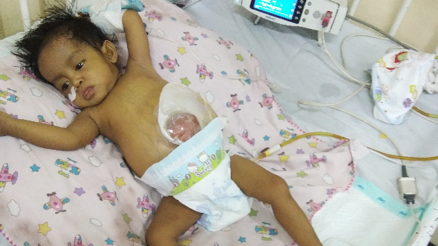 Bantu Emil untuk Mendapatkan Hati Barunya