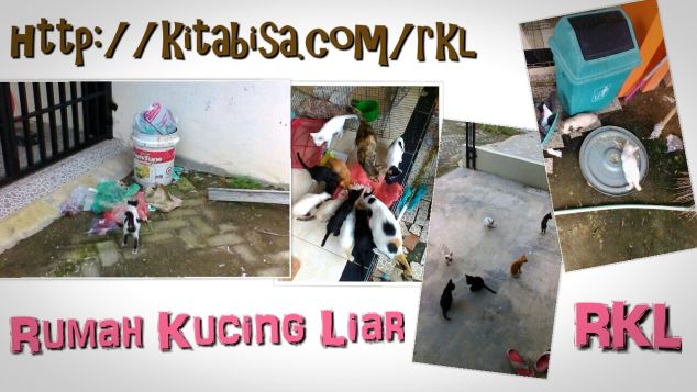 Rumah Kucing Liar