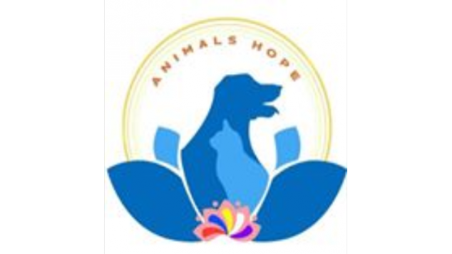 Donasi untuk Animals Hope Shelter.