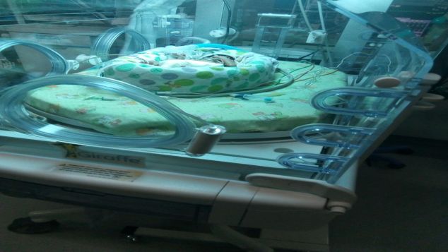 Perawatan NICU Bayi Lutetia