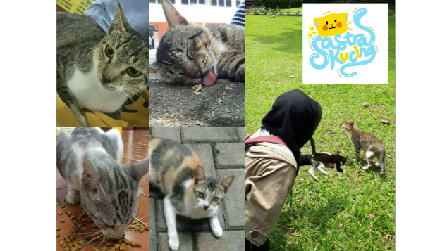 Peduli Kucing FIB UI