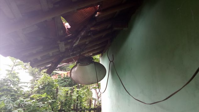 PEDULI MUSHOLA