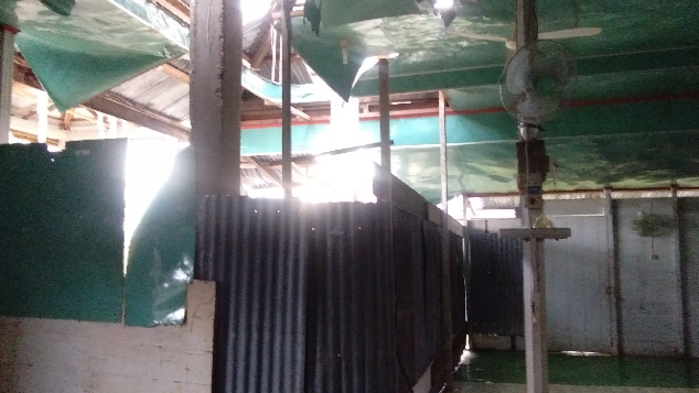 Masjid Kuta Simboling Aceh Singkil butuh Perehapan