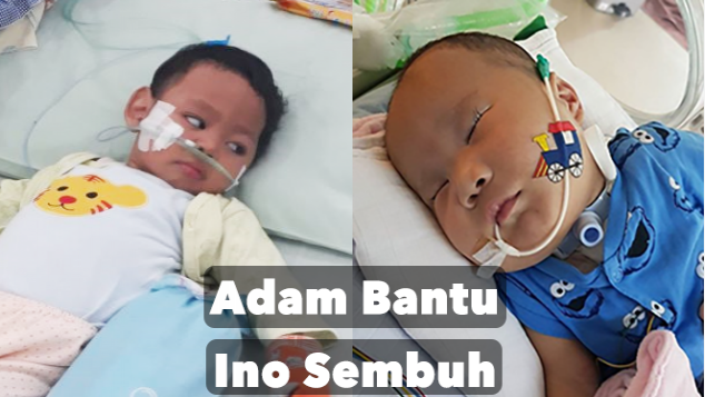 Adam Fabumi Bantu Ino Sembuh