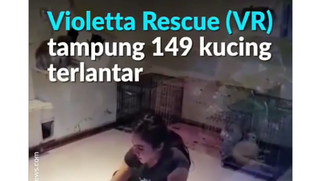 DONASI UNTUK VIOLETTA'S RESCUE