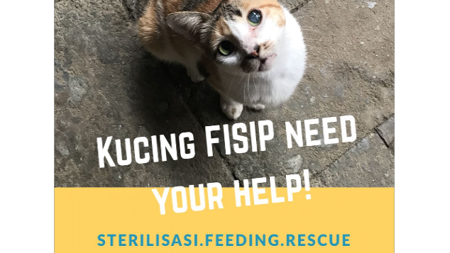 Steril dan Berobat Kucing di Lingkungan FISIP UI