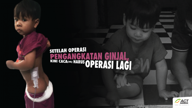 Selamatkan Ginjal Terakhir Caca (2th)