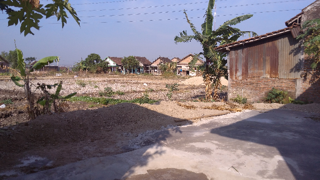 Masjid Haila untuk umat islam