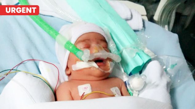Daffa Pejuang Bayi Prematur
