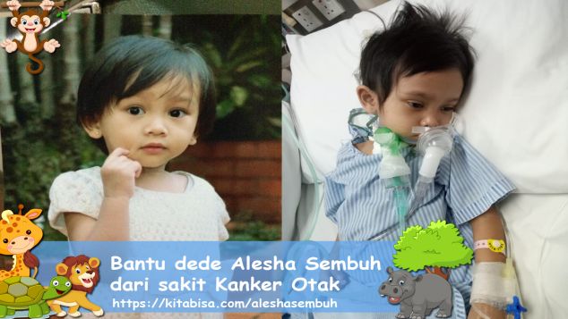 Bantu dede Alesha Sembuh dari sakit Kanker Otak
