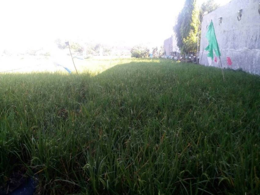 dc21e7dae1b49b831fa134ad5ef5bb7b42a87d00