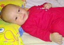 ari wibowo