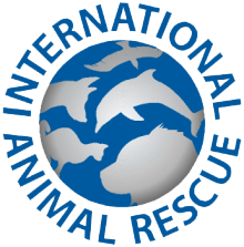 IAR Indonesia