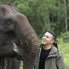 Teman Gajah